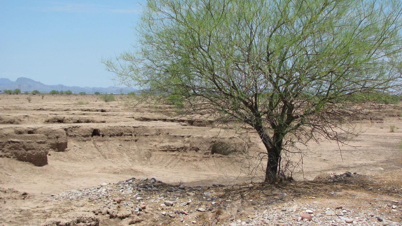 Cause of strange landscape south of Tucson is uncertain